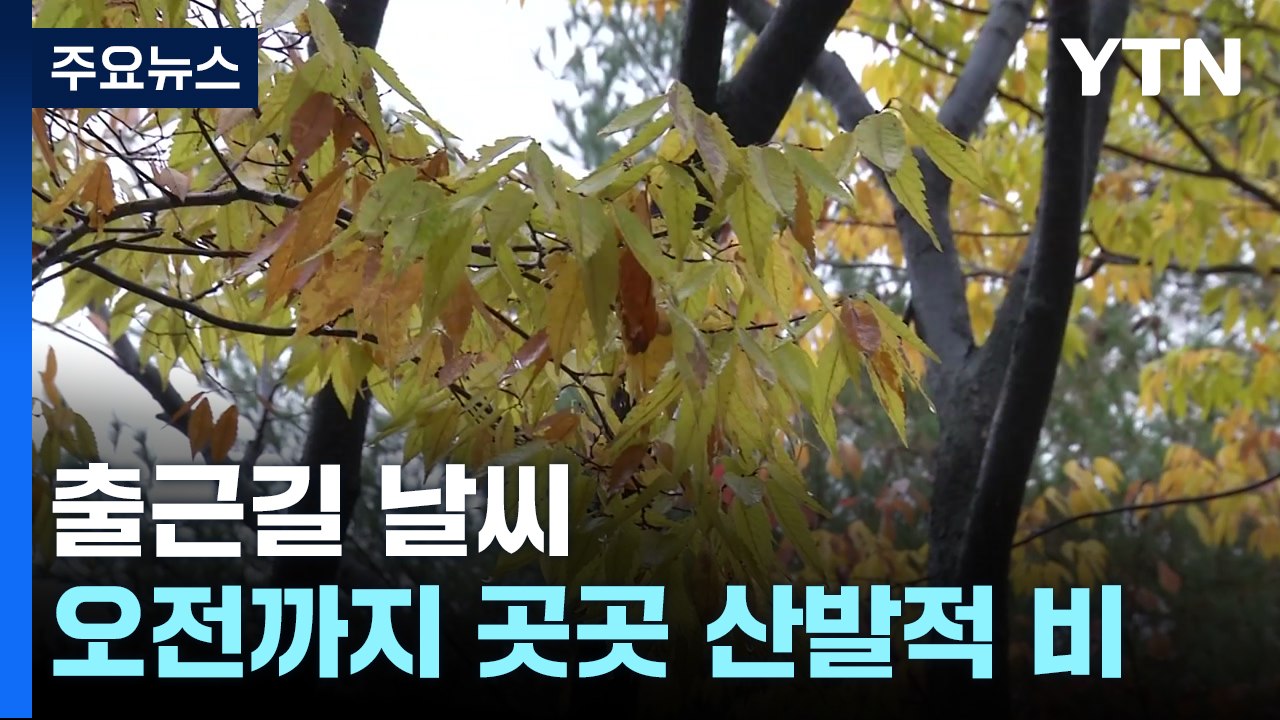 [출근길 YTN 날씨 11/15] 흐리고 오전까지 곳곳 산발적 비...예년보다 포근...