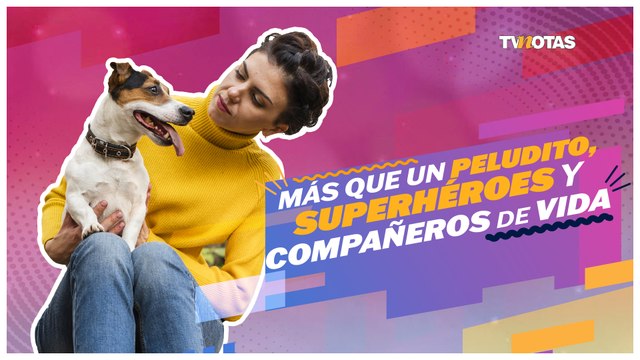 ¿Quieres comprar o adoptar?: Descubre la misión que tiene tu mascota en tu vida.