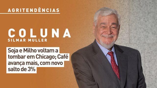 Soja e Milho voltam a tombar em Chicago; Café avança mais, com novo salto de 3%
