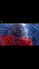 _missionimpossible _superhitmovie _trending _foryoupage _viral_video _foryou _foryou _unfreezemyaccount _viralmyaccount--------(MP4)