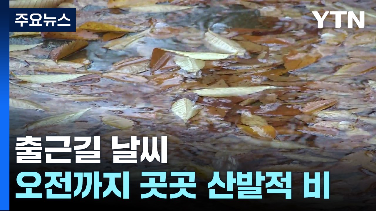 [날씨] 흐리고 오전까지 곳곳 비...낮 동안 봄처럼 포근 / YTN