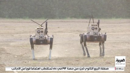 الروبوت "الذئب" في مواجهة الكلاب الآلية.. سباق تسلح جديد بين الصين والغرب
