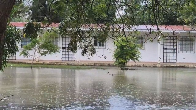 Región de Azuero continúa afectado por las fuertes lluvias