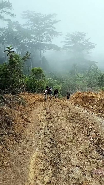 hutan embun