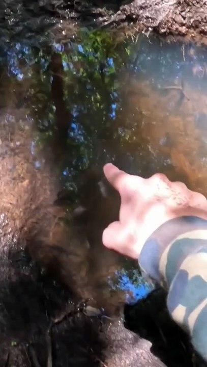 Nemu ikan dalam kotak