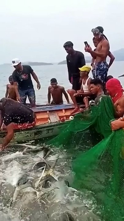 Panen ikan