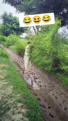 Man want to corras but happened this,,,