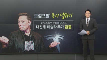증시 폭락에 '파란' 코스피, 트럼프 2기와 일론 머스크 지명 영향 🚨