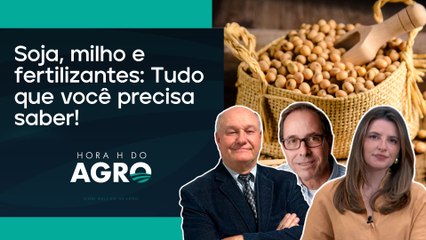 Pico de alta da soja pode ter ficado para trás; entenda! | HORA H DO AGRO