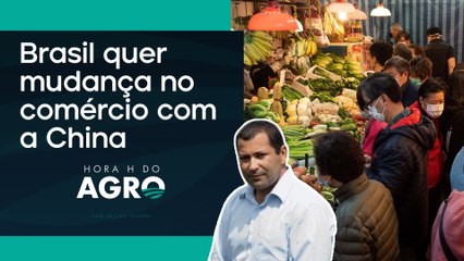 Biotecnologia de sementes pode travar exportações | HORA H DO AGRO