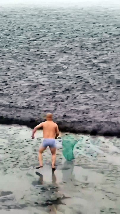 ketika ikan  yang menuju Jaring