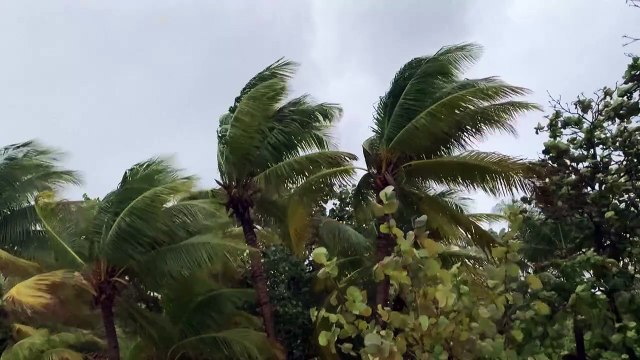 Honduras declara alerta roja por la tormenta tropical Sara