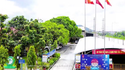 Giới thiệu Công ty Prime Đại Việt - Dai Viet Company Profile