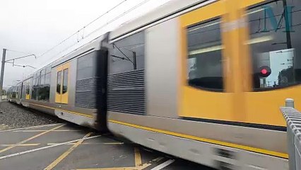 Trains | Illawarra Mercury | November 15, 2024