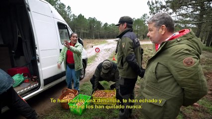 ¿Te lo vas a comer? : Comercio ilegal de setas