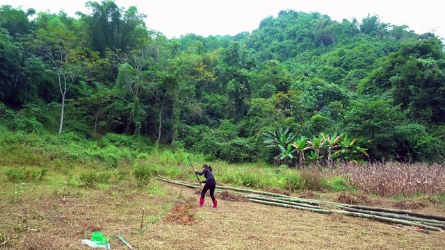 Cutting Bamboo, Chiseling Termites, Digging soil To make a frame - Young Girl and bamboo house.