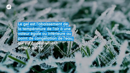 Gelées: Un phénomène très redouté dans les campagnes