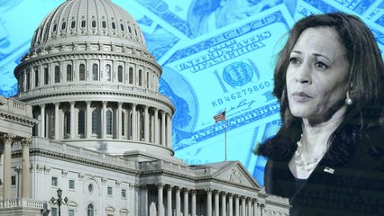 Liên tục lập kỉ lục gây quỹ, tại sao bà Harris vẫn phải "gánh nợ" 20 triệu USD?