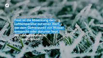 Frost: Ein gefürchtetes Phänomen auf dem Lande