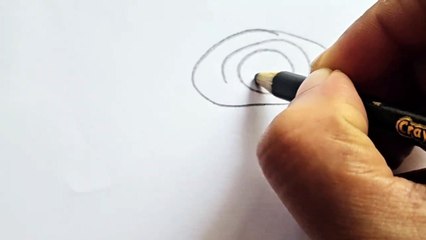 How to draw a rose flower step by step