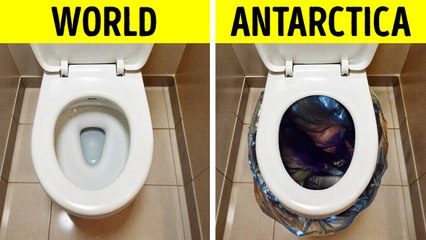 Strange Things You’ll Never Believe Are Banned in Antarctica