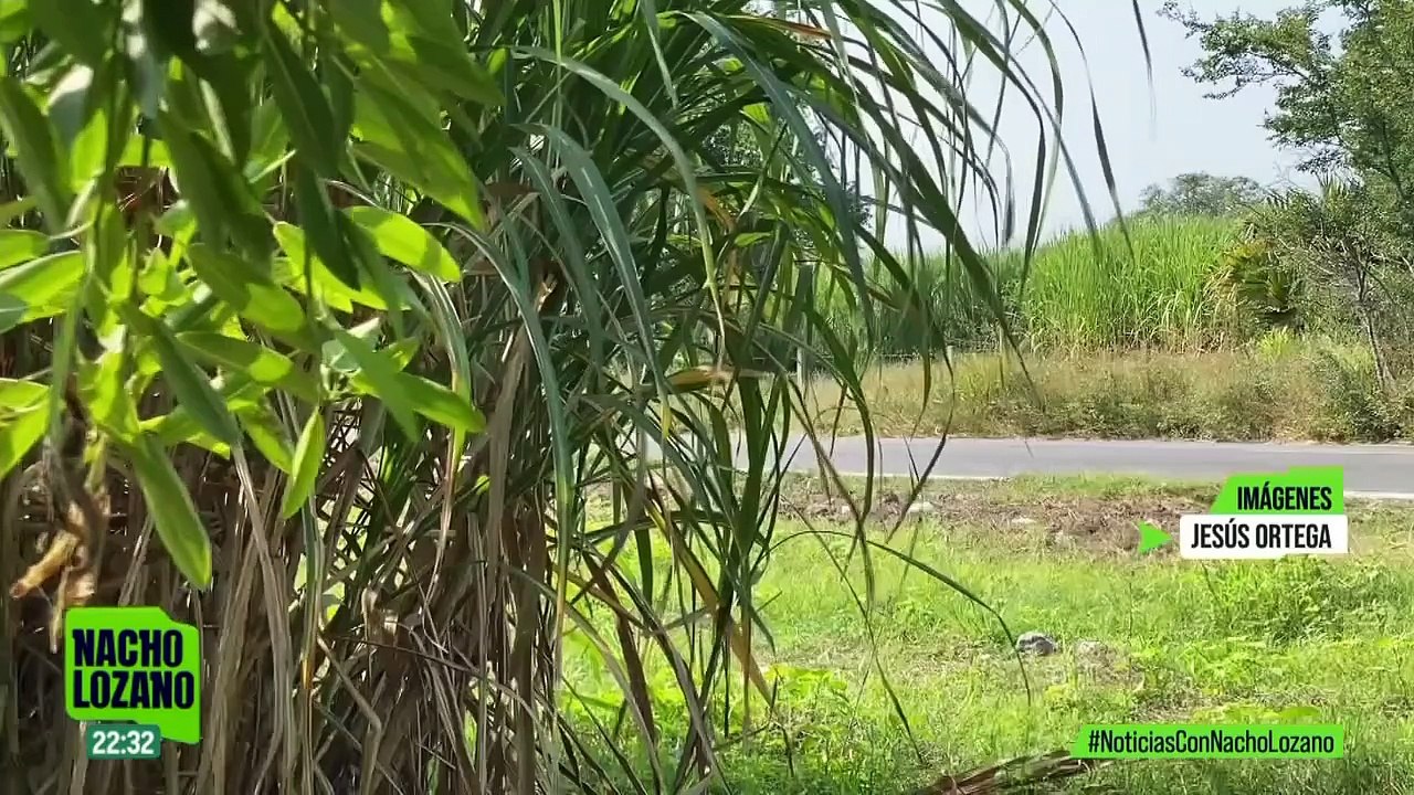 Despiden a María José, víctima de feminicidio junto a su madre Alejandra Rivas