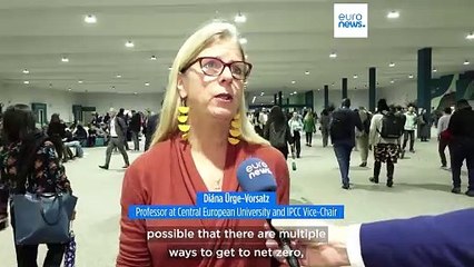 COP29: Is Net Zero just a dream or an attainable goal?