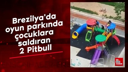 Brezilya'da oyun parkında çocuklara saldıran 2 Pitbull