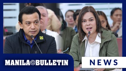 VP Sara says she knows about bank accounts presented during House hearing