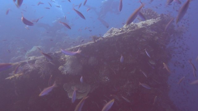 Les secrets engloutis