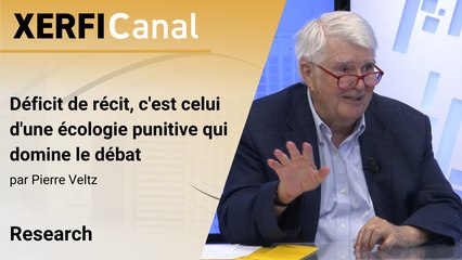 Déficit de récit, c'est celui d'une écologie punitive qui domine le débat [Pierre Veltz]