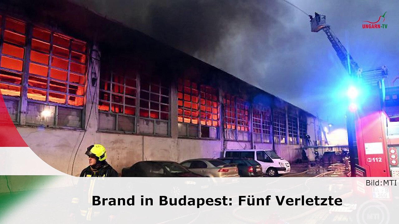 hallo ungarn – Kurznachrichten am 15.11.2024