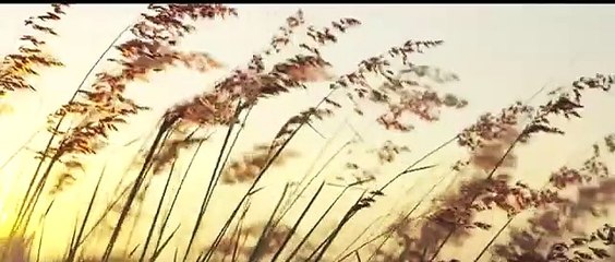 Buckle up! Experience the Speed and Thrill of the -Land Aircraft Carrier- at the Airshow