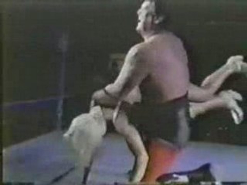 Wrestling vintage jerry lawler stacy carter