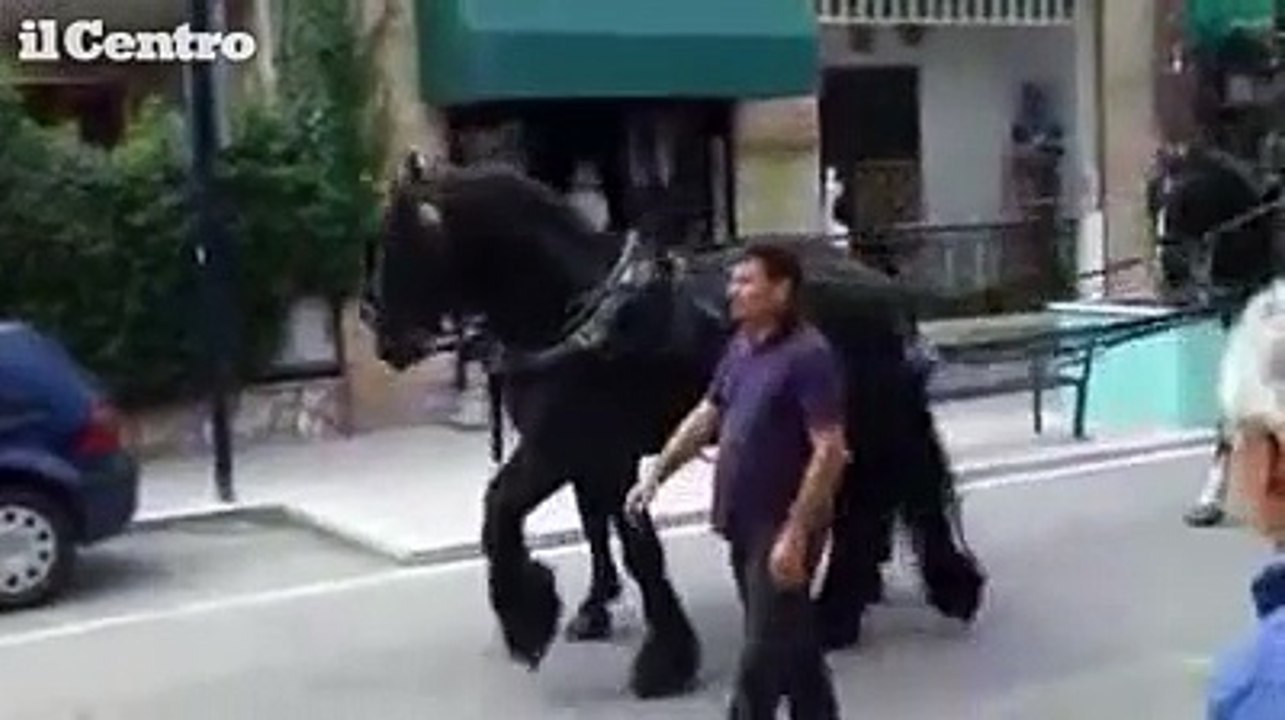 Muore il leader rom, corteo coi cavalli ad Alba Adriatica