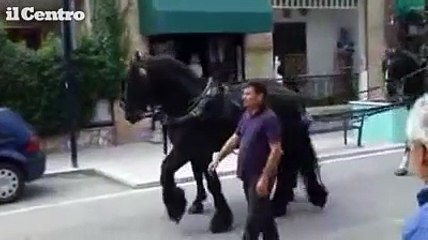Muore il leader rom, corteo coi cavalli ad Alba Adriatica