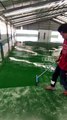 Jasa EPoxy Lantai Kota Sukabumi | Jasa Pengecatan Epoxy Lantai Terpercaya dan Berkualitas