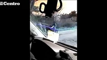 Cavalli in strada a Pescara, lo stupore di un autista