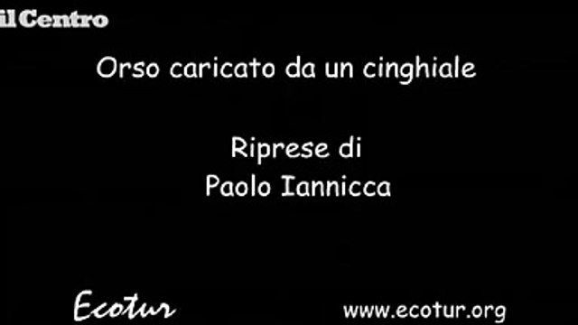 Image from field_mediaid