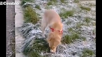 "Talmente bello che trasmette pace interiore"