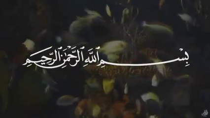 Qari Abdul Basit - Surah Yaseen