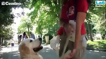 Sulmona, abbaio collettivo per protestare contro l'abbandono degli animali