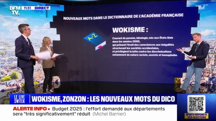 Pourquoi tant de commentaires sur le Dictionnaire de l'Académie française? BFMTV répond à vos questions