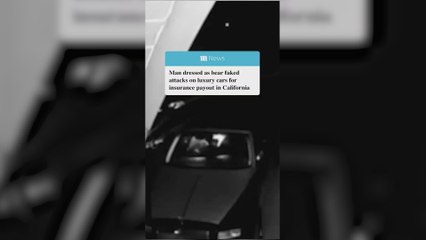 Se disfraza de oso y finge ataques a coches de lujo para cobrar el seguro: la estafa más surrealista es ya una realidad