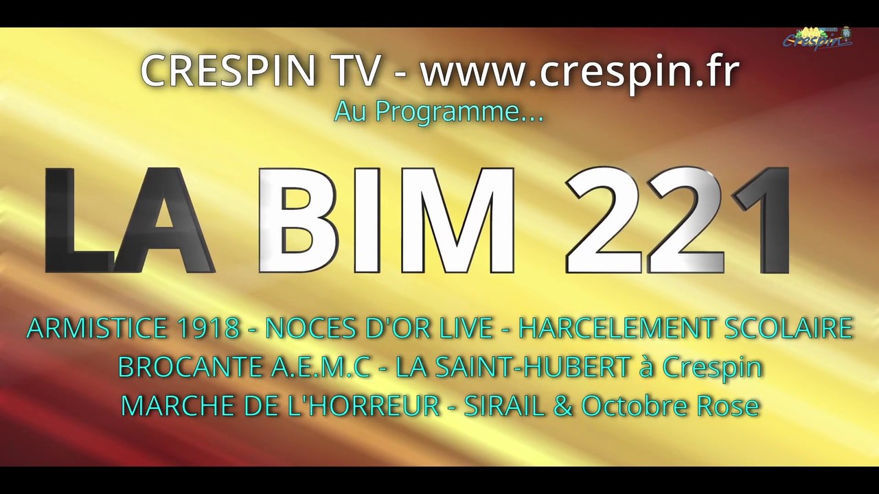 BIM 221 (Armistice 1918, Noces d'Or, Brocante AEMC...)