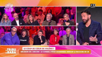 Décision de l'Arcom : le conseil d'État va examiner le recours de C8