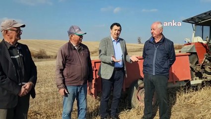 Edirne’de üreticilerden 'buğday kuraklık sigortası' talebi