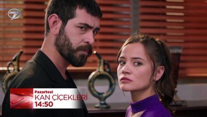 Kan Çiçekleri Dizisi 390. Bölüm Fragmanı