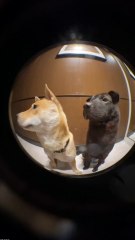 साले ने मुझे बन्द कर दिया