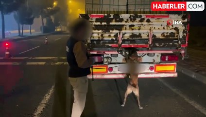 Batman'da 8 Kilo Sentetik Uyuşturucu Ele Geçirildi, 2 Tutuklama